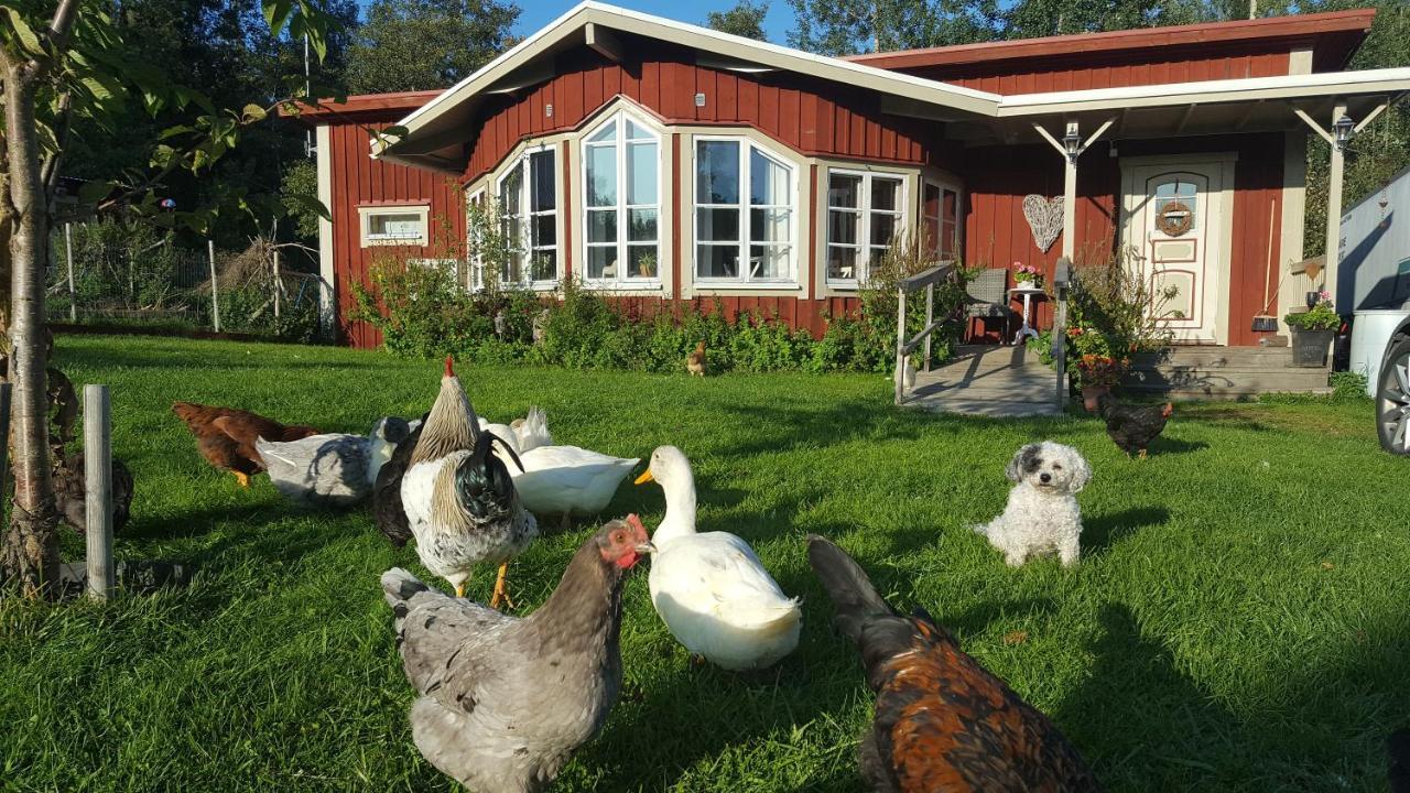 Spiragarden Villa Glanshammar Bagian luar foto